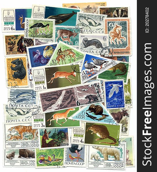 A set of stamps: Animals