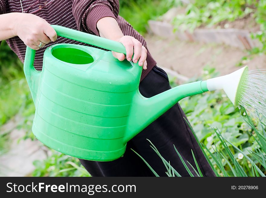 The elderly woman works on kitchen garden. The elderly woman works on kitchen garden