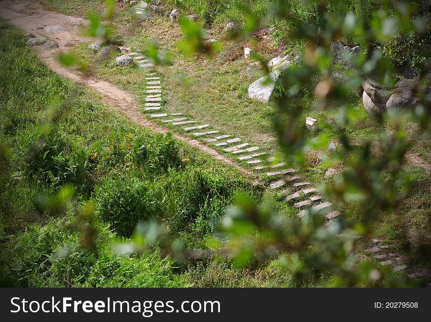 Trail With Wooden Steps Across The Meadow