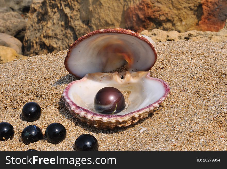 Seashell lay on the sand and a black ball inside the glass and close by are a few small black balls