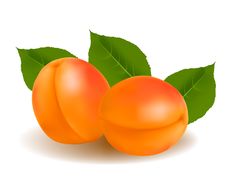 Ripe Apricots With Green Leaf. Stock Photography Ripe Apricots With Green Leaf. Stock Photography
