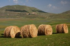 Golden Hay Bales Royalty Free Stock Photos Golden Hay Bales Royalty Free Stock Photos