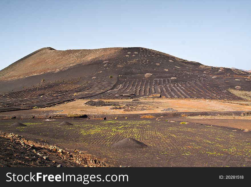The beautiful landscape of Lanzarote. The beautiful landscape of Lanzarote