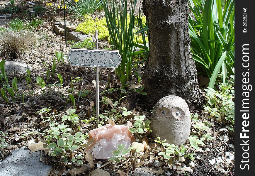 A cute Spring garden scene with many green sprouts among Winter mulch. A cute Spring garden scene with many green sprouts among Winter mulch