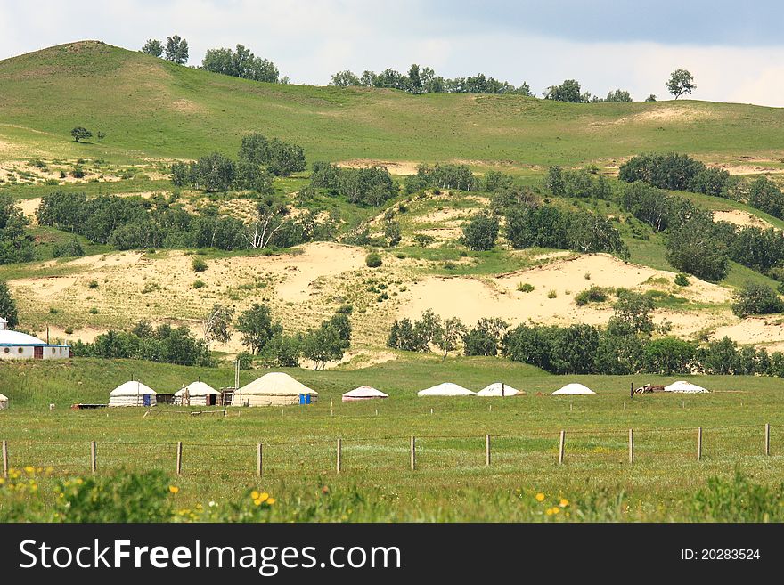 Landscape  Of   Grassland