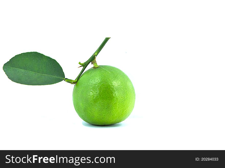 Fruit green healthy isolated juicy leaf lemon. Fruit green healthy isolated juicy leaf lemon