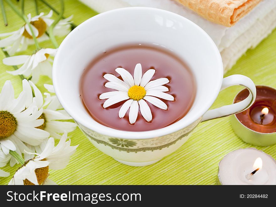 Camomile in tasse in white background