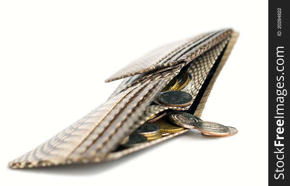 Snakeskin wallet full of coins. Snakeskin wallet full of coins