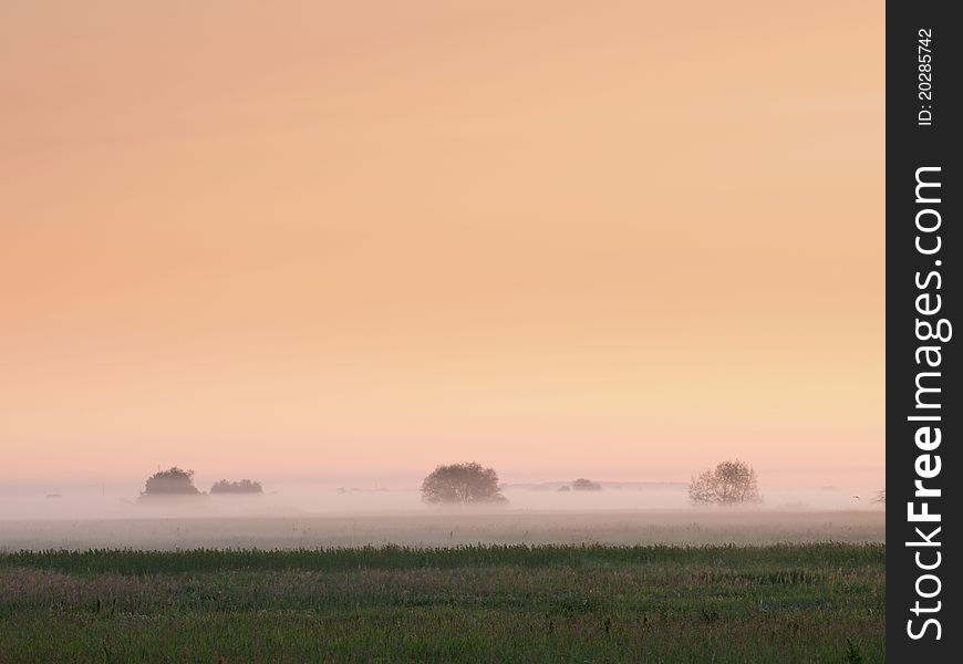 Fog over fields on sunrise. View from above. Fog over fields on sunrise. View from above