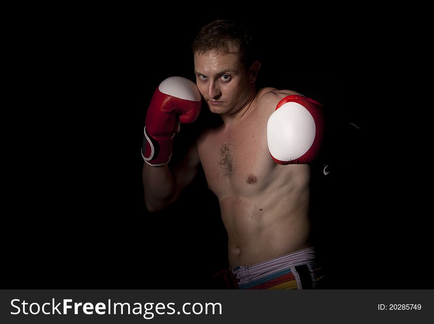 Young Boxer over black background