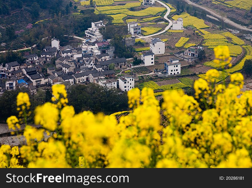 Chinese rural landscape: village at the foot of mountain with oilseed flowers as foreground.