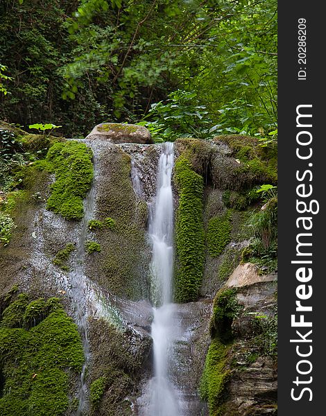 Waterfall from rock in green forest. Waterfall from rock in green forest