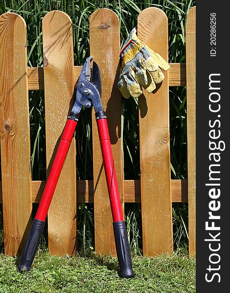 A branch cutter and protective gloves in front of a wooden fence. A branch cutter and protective gloves in front of a wooden fence