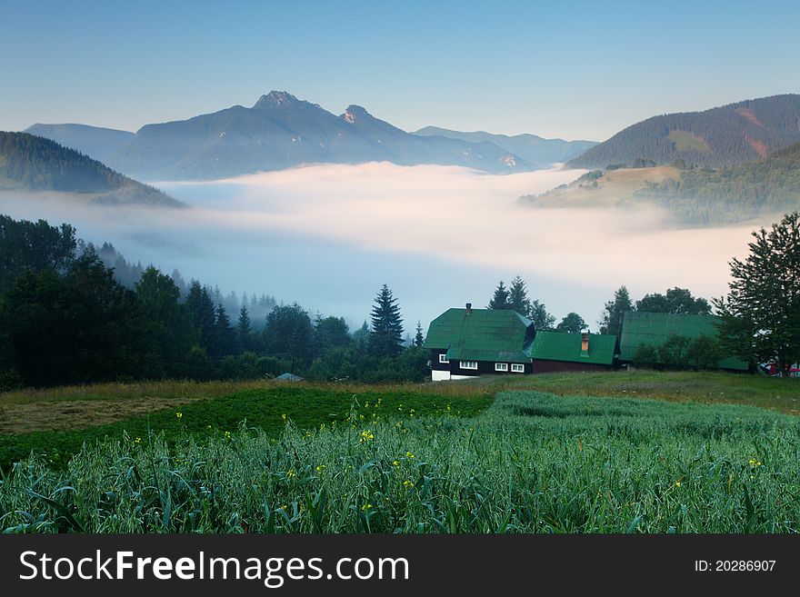 Beautiful summer mountains landscape with mist.