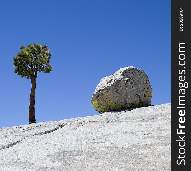 View of a lone tree and a large boulder on a blue sky background. View of a lone tree and a large boulder on a blue sky background.