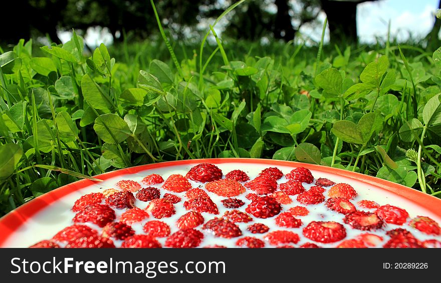 Plate of strawberry