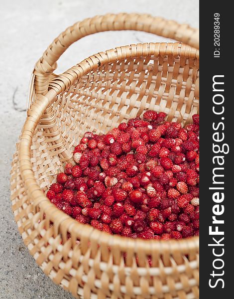 Wild strawberry in a basket. Wild strawberry in a basket