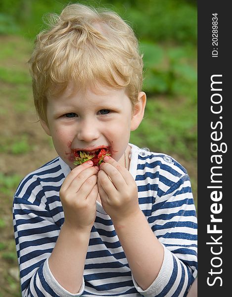 Portrait of a young child who eats red strawberries. Portrait of a young child who eats red strawberries