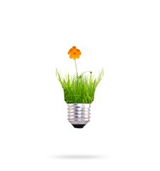 Light Bulb With Beautiful Flower Inside Royalty Free Stock Photos