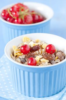 Muesli And Fruits Stock Images Muesli And Fruits Stock Images