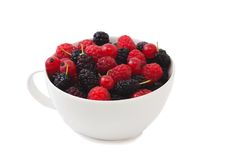 Bowl Of Fresh Berries Royalty Free Stock Photo