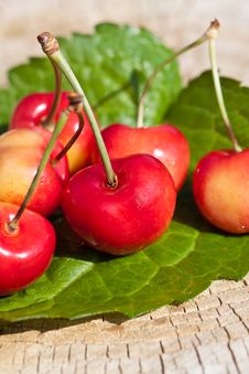 Cherries Royalty Free Stock Photo Cherries Royalty Free Stock Photo