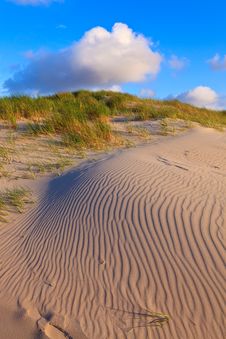 Sand Dunes With Helmet Grass Royalty Free Stock Photo Sand Dunes With Helmet Grass Royalty Free Stock Photo