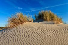 Sand Dunes With Helmet Grass Royalty Free Stock Image Sand Dunes With Helmet Grass Royalty Free Stock Image