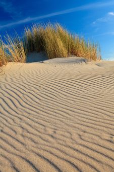 Sand Dunes With Helmet Grass Stock Photography Sand Dunes With Helmet Grass Stock Photography