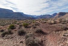 AZ-Grand Canyon-Clear Creek Trail Stock Images AZ-Grand Canyon-Clear Creek Trail Stock Images