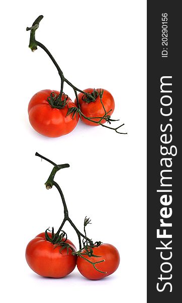 A pair of fresh Tomatoes still attached to their stem. A pair of fresh Tomatoes still attached to their stem