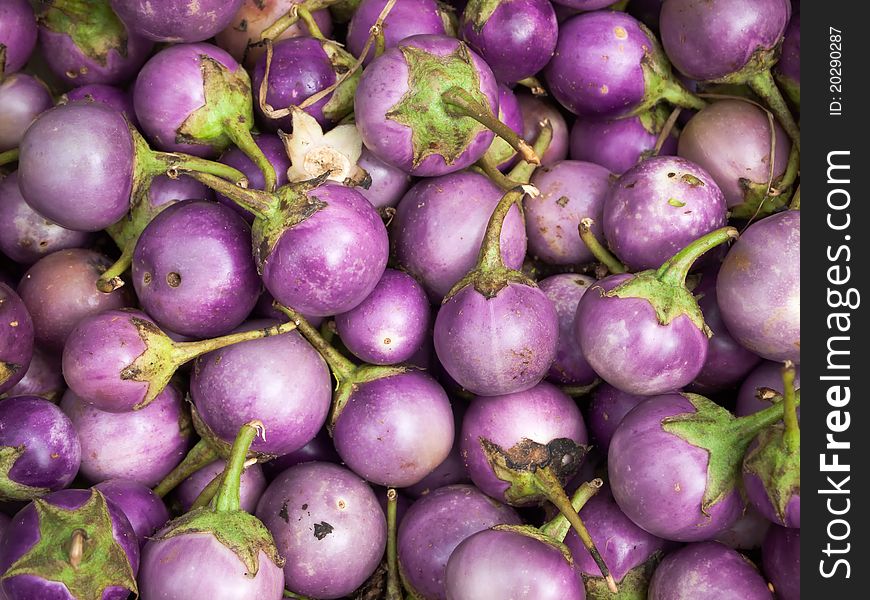 Purple eggplants that are sold in the market