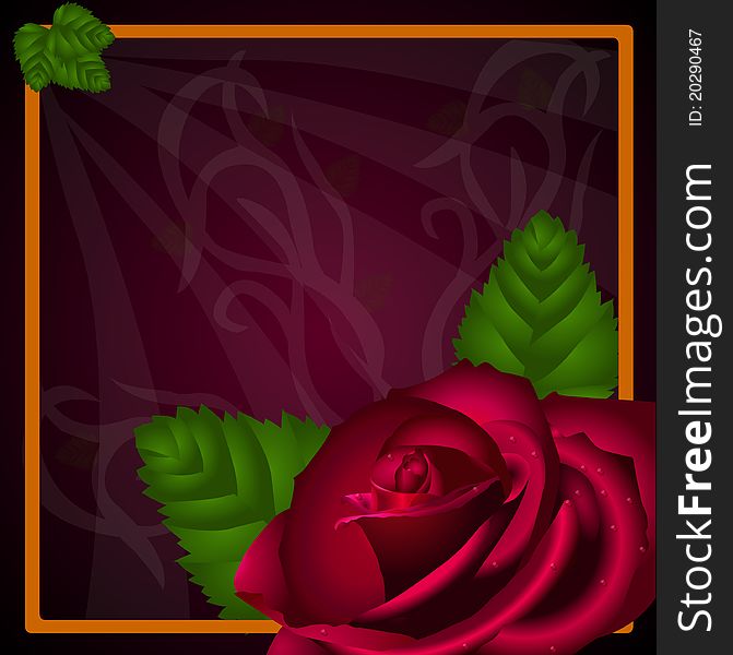 This is an illustration of a red rose on a dark background. This is an illustration of a red rose on a dark background.