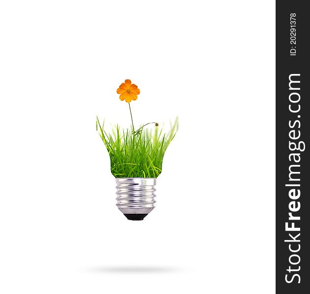 Light bulb with beautiful flower inside