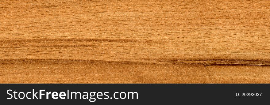 Beech wood texture horizontal background