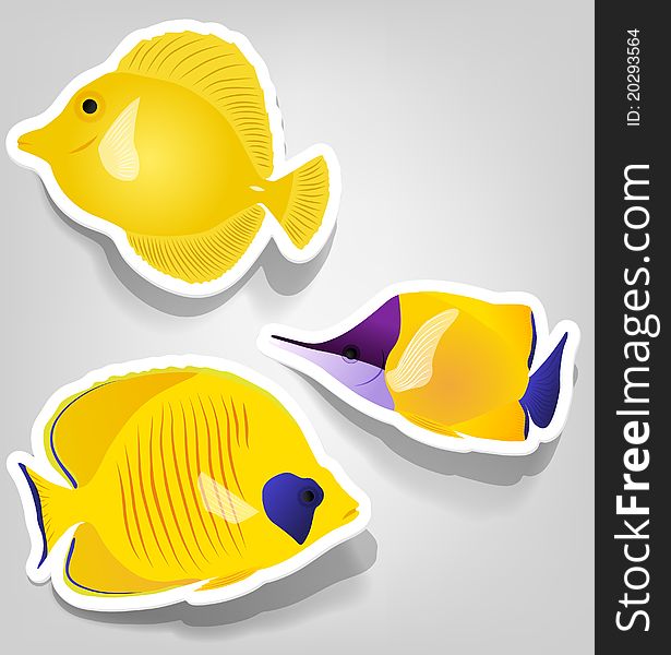 A set of tropical fish for advertising diving. A set of tropical fish for advertising diving