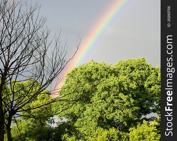 Bright beautiful rainbow in the sky after storm. Bright beautiful rainbow in the sky after storm