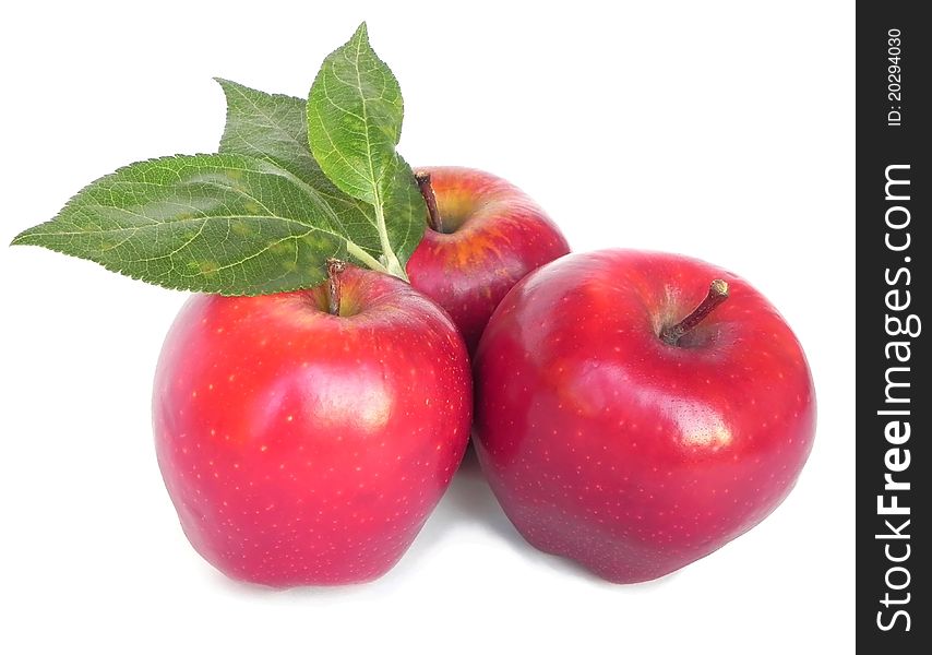 Apples are shown in the picture. Apples are shown in the picture.