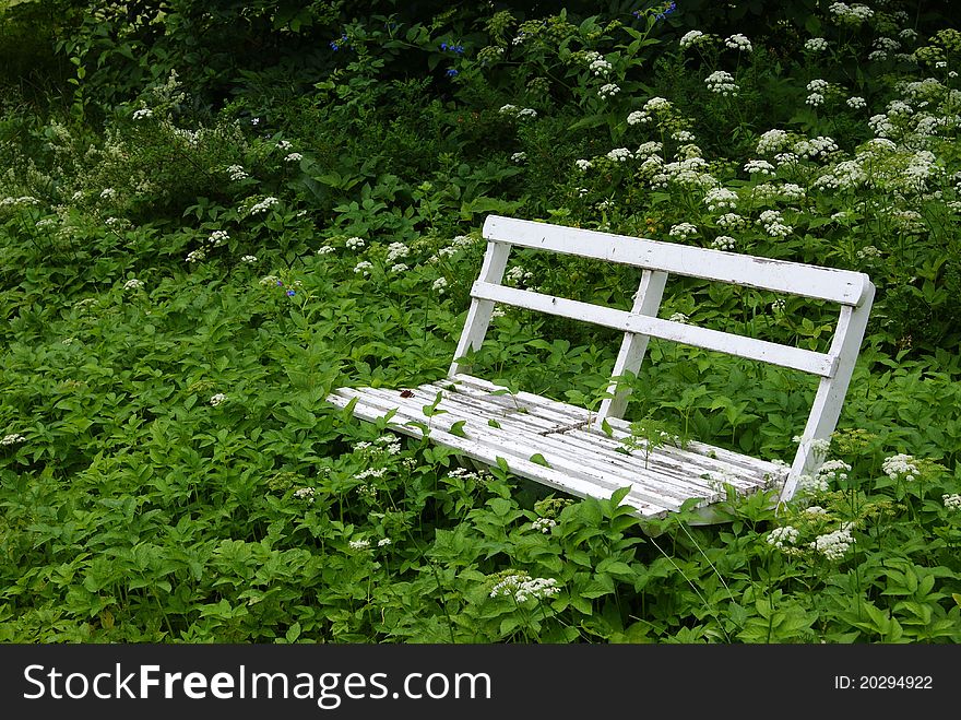 A white bench hard to get to because of the weeds.