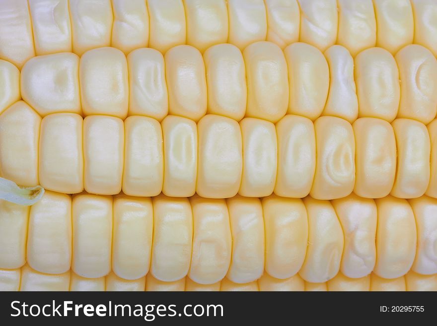Fresh corn vegetable with green leaves closeup