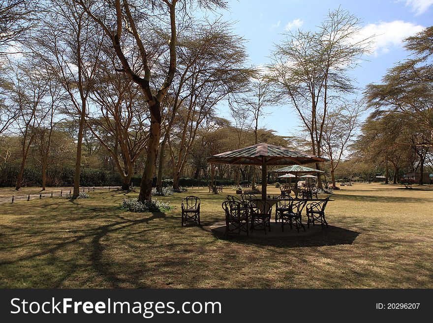 Lunch place when going for safari. Lunch place when going for safari