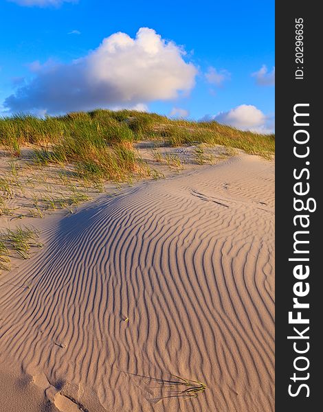 Sand dunes with helmet grass on the beach