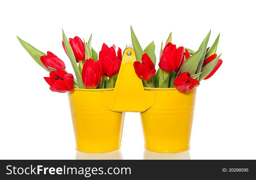 Red Tulips In A Yellow Vase