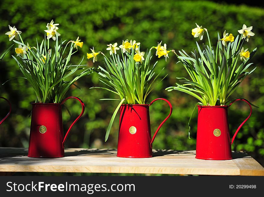 3 pots of flowers