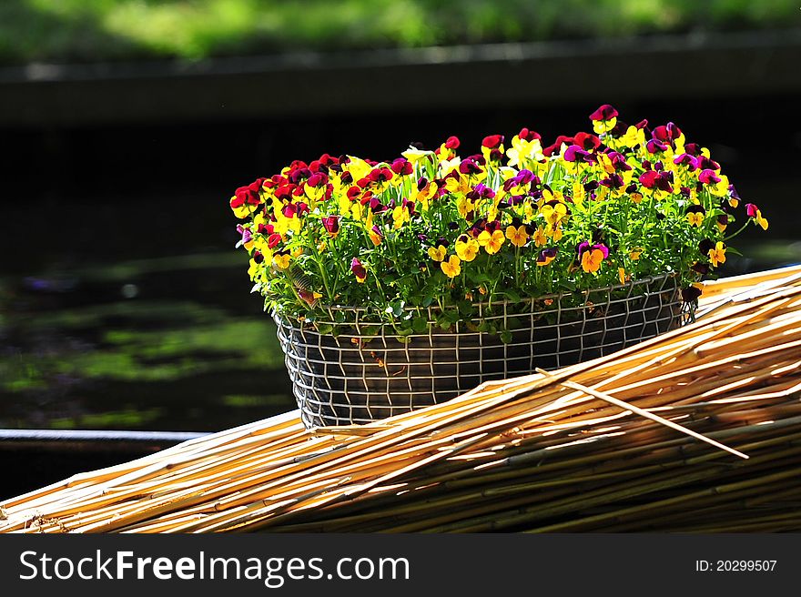 Bouquet Of Flowers