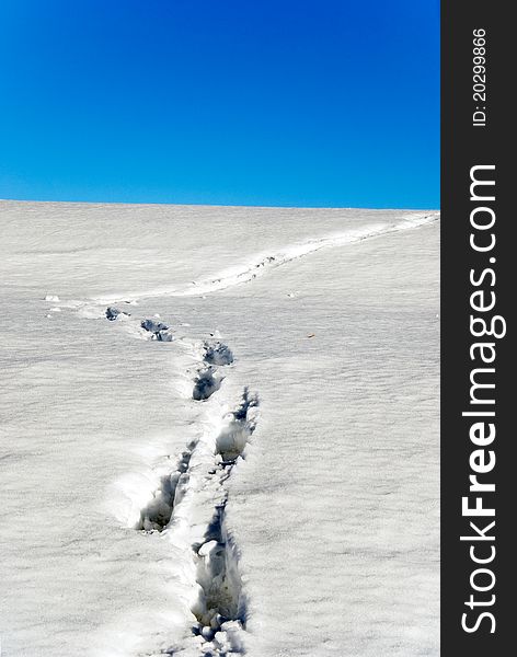 Foot prints in the snow with blue sky