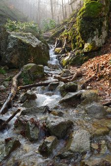 Creek In The Forest Stock Photo Creek In The Forest Stock Photo