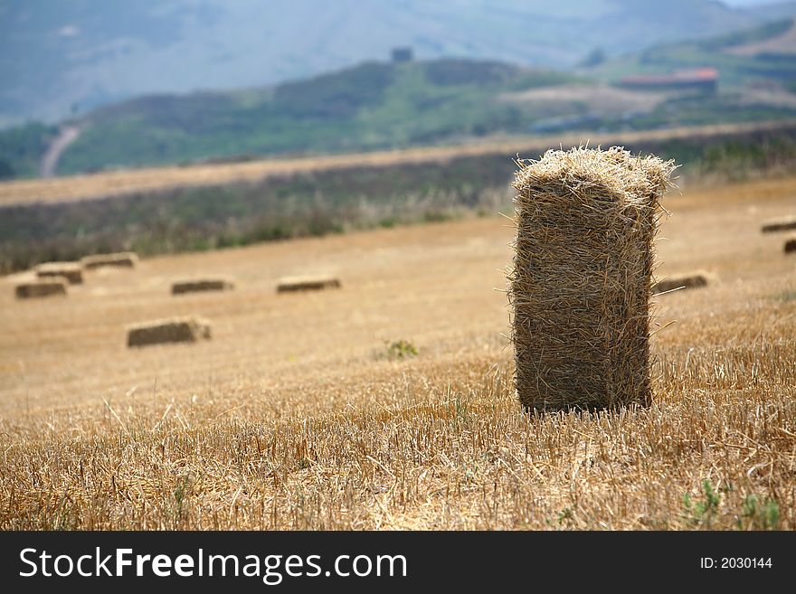 Photo of a field of straw