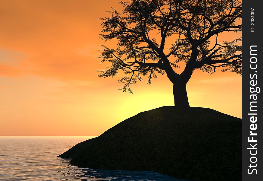 Sunset_Tree_Holm