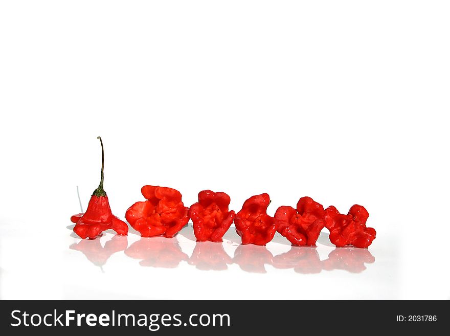 Red hot chili pepper on white background. Red hot chili pepper on white background